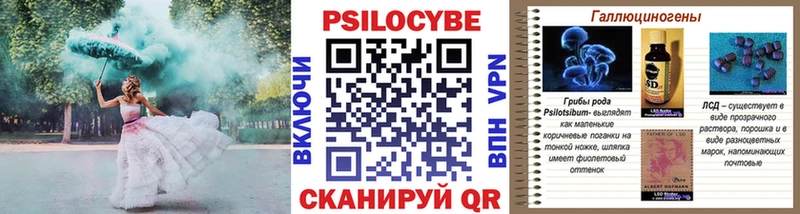 Купить  Кузнецк  Псилоцибиновые грибы Psilocybine cubensis 